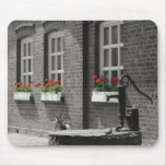 flowers in the window mouse mats