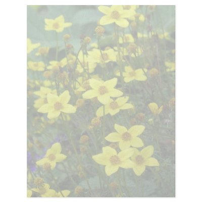 flowers personalized letterhead by DonnaGrayson_Photos
