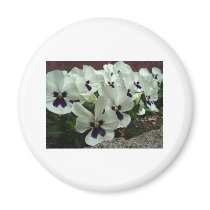 Flowers Refrigerator Magnet
