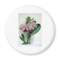 Flowers Refrigerator Magnets