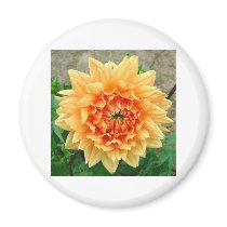 Flowers Refrigerator Magnet