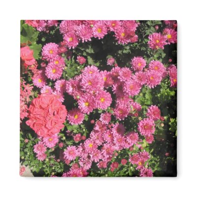 flowers refrigerator magnets by DonnaGrayson_Photos