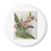 Flowers Magnet