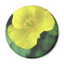 Flowers Refrigerator Magnet