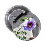 Flowers Missions Leaves Leaf Roofs Pins