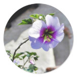 Flowers Missions Leaves Leaf Roofs Sticker