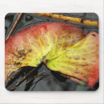 Flowers Mouse Mat