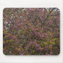 Flowers Mouse Pad