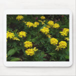 Flowers Mouse Pad