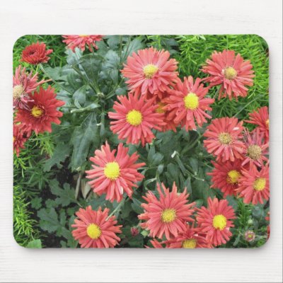 flowers mouse mats by DonnaGrayson_Photos