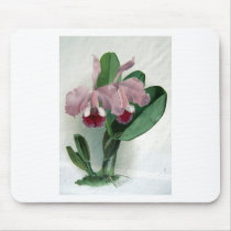 Flowers Mouse Pads