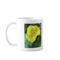 Flowers Mugs