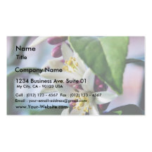 Flowers Myer Lemons Trees Business Card Templates