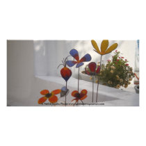Flowers-Mykonos, Greece