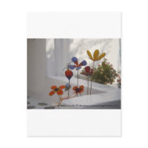 Flowers-Mykonos, Greece