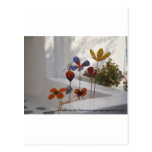 Flowers-Mykonos, Greece Postcards