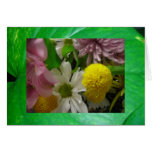 flowers n greens cards