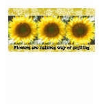 "Flowers, nature's way of smiling" sunflower shirt