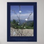 FLowers of the Sierra Nevadas Poster