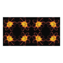 Flowers on Black Personalized Photo Card
