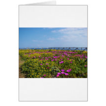 Flowers on Pandateria. Card