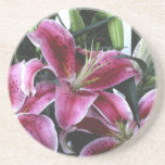Flowers on Sandstone coaster