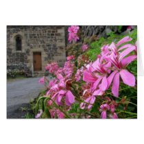 Flowers on the Way Card cards