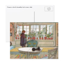 Flowers on the Windowsill by Carl Larsson Post Card