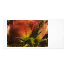 Flowers Photo Card