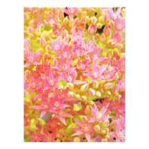 flowers photo