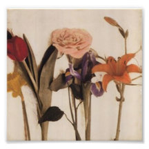 flowers photographic print