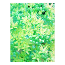 flowers photographic print