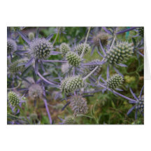 Flowers & Plants Card