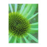 Flowers & Plants Post Cards