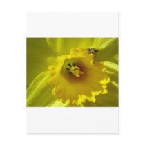 Flowers Post Card