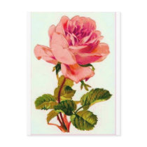 Flowers Post Cards