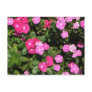 flowers postcard