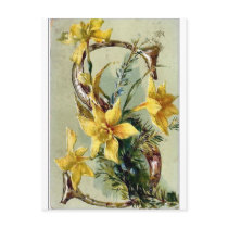 Flowers Post Cards