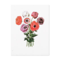 Flowers Post Cards