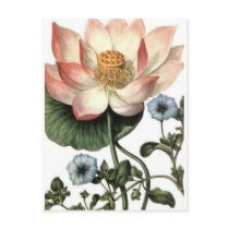 Flowers Post Card