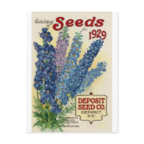 Flowers Postcards