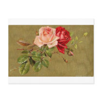 Flowers Post Cards