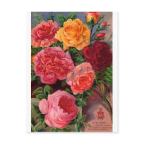 Flowers Postcard