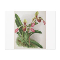 Flowers Post Card