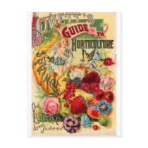 Flowers Post Card