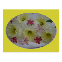 Flowers Postcards