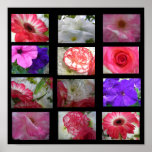 Flowers Poster
