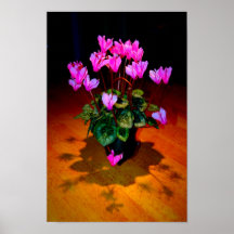 Flowers Posters