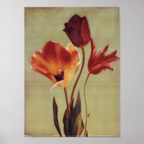 flowers poster
