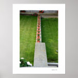 FLOWERS Poster posters